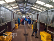 AK071124-102 - Alan King Stable Visit